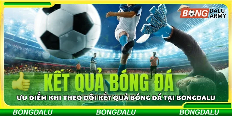 Các giải đấu lớn được Bongdalu cập nhật kết quả