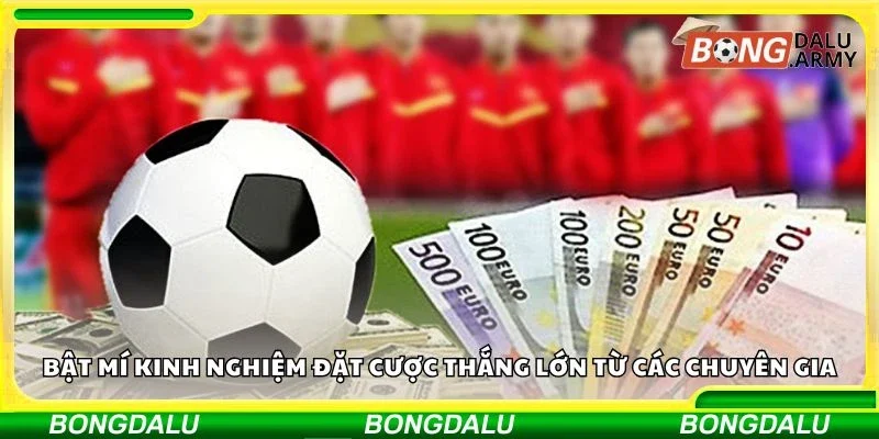 Bật mí kinh nghiệm đặt cược thắng lớn từ các chuyên gia
