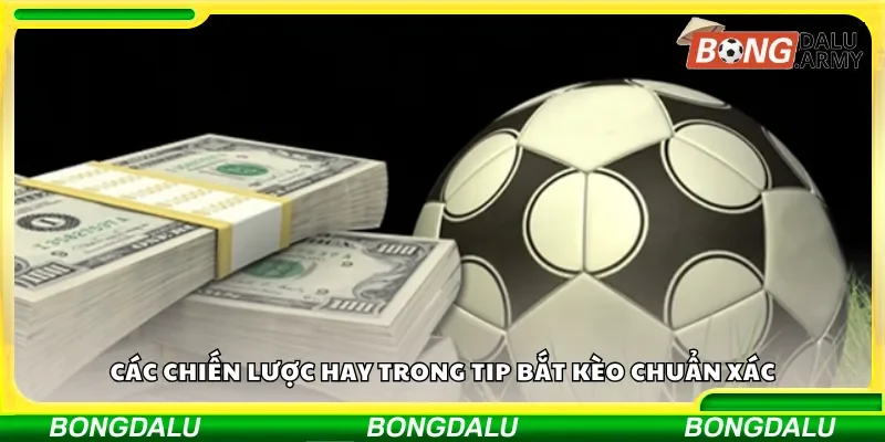 Những yếu tố then chốt ảnh hưởng đến tip bắt kèo chuẩn xác