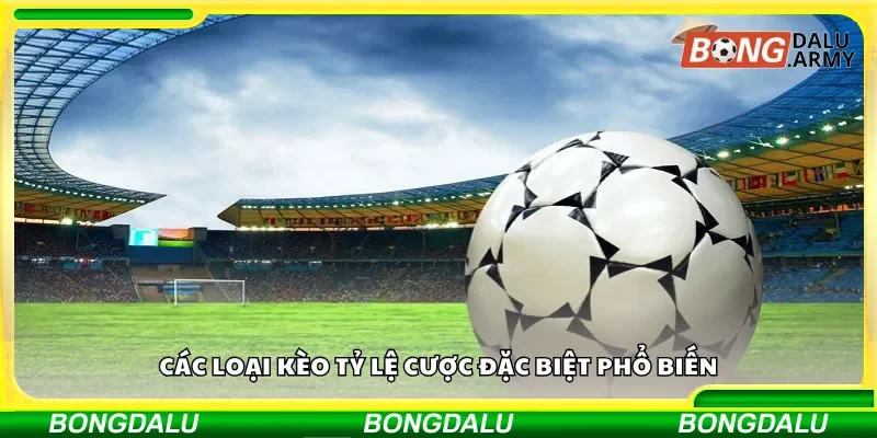 Danh sách các loại kèo tỷ lệ cược đặc biệt hay dùng
