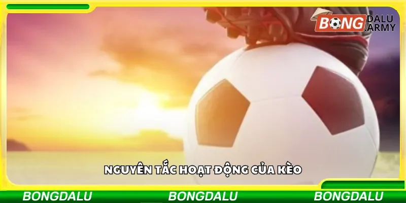 Nguyên tắc hoạt động của kèo