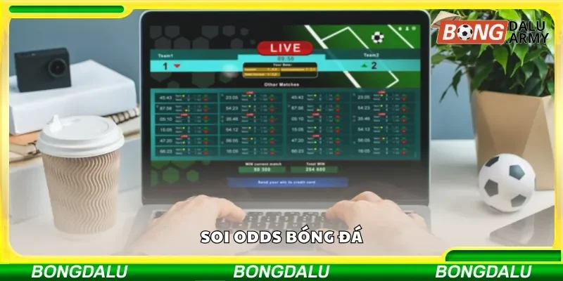 Soi odds bóng đá là kỹ năng cần thiết mà cược thủ nên biết